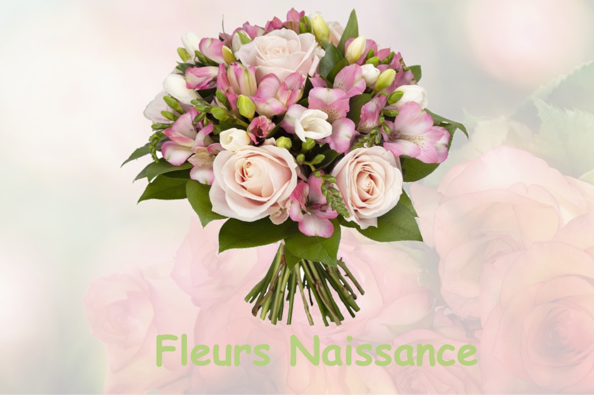 fleurs naissance AUTHEUIL-EN-VALOIS